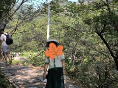 -大岭沟猕猴桃谷风景区