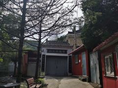-白水寺森林公园