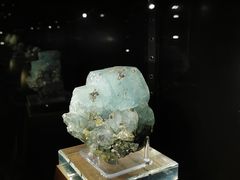 -中国地质大学逸夫博物馆