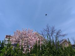 -黑石礁公园