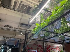 -猫爪爪原切自助烤肉(观音桥阳光世纪店)