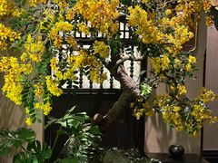 -金链花·泰国餐厅(国贸店)