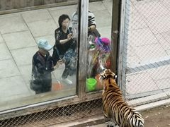-横道河子东北虎林园