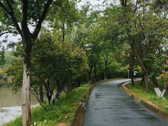 -西溪国家湿地公园