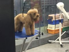 -宠物世家(仲盛世界商城店)