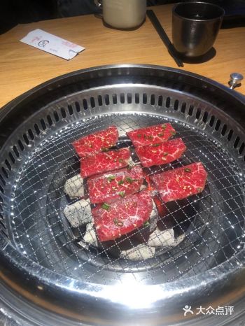 妥妥肉食动物的天堂~一整个爱住了