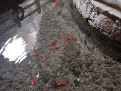 -蛇蟠岛