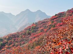-水峪民俗村