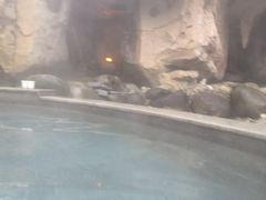 -咸宁万豪温泉谷度假区