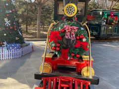 -南宫五洲植物乐园