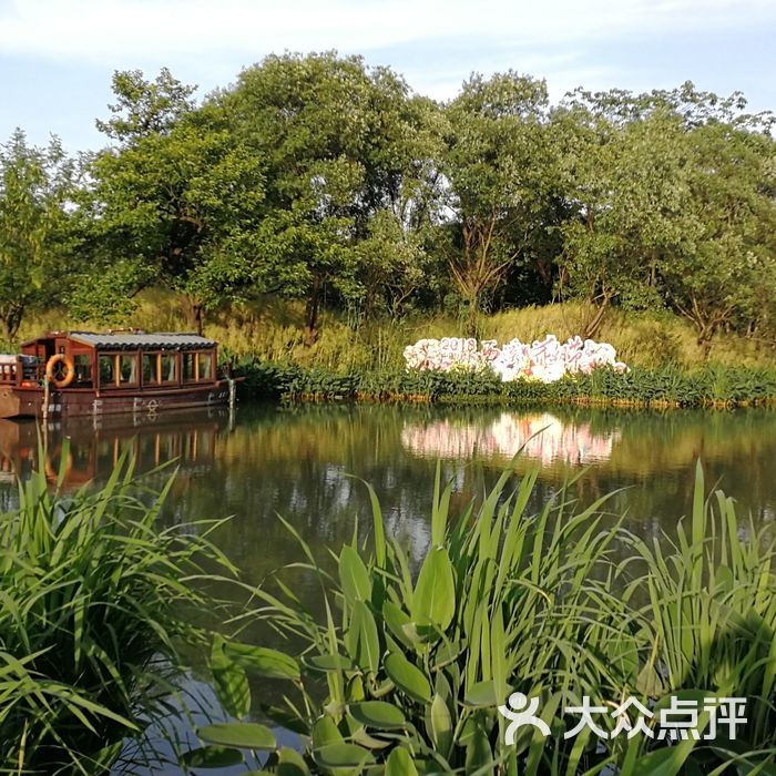 驻马店湿地植物园图片图片