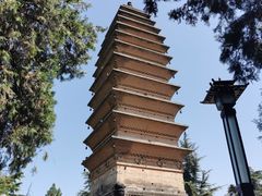 -洛阳白马寺