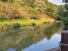 -桃花岭景区