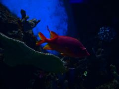 -石家庄极地海洋世界