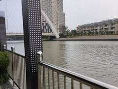 -陈家山荷花公园