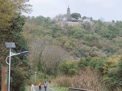 -苏州上方山国家森林公园