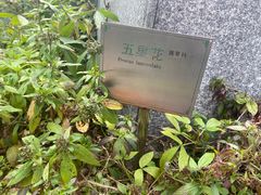 -广州神农草堂中医药博物馆
