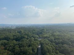 -灵谷景区