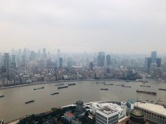 -金轩中餐厅 Jin Xuan(浦东丽思卡尔顿酒店)
