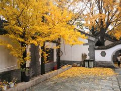 -北京鹫峰国家森林公园