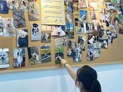 -翊宠yipet猫狗购宠庄园犬舍•猫舍