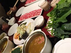 -汉城馆·烤肉火锅餐厅·韩国烤肉(河北云瑧世纪大饭店)