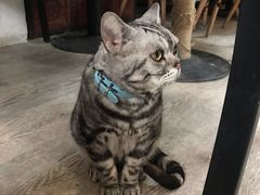 -小时光咖啡馆(北锣鼓巷店)