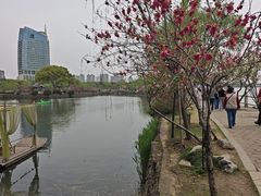 -无锡蠡湖国家湿地公园-蠡园