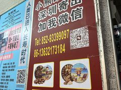 -珍妮曲奇聪明小熊(尖沙咀店)