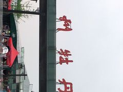 -曹州牡丹园