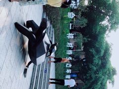 -广东惠东海龟国家级自然保护区