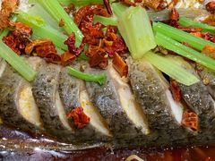 -福缘厚饺子