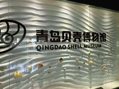 -青岛贝壳博物馆