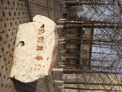 iphone_upload_pic-辽宁大学(崇山校区)