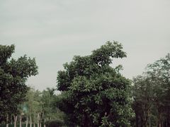 -金山公园