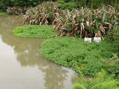 -桤木河湿地公园