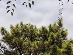 -沈阳市东陵公园