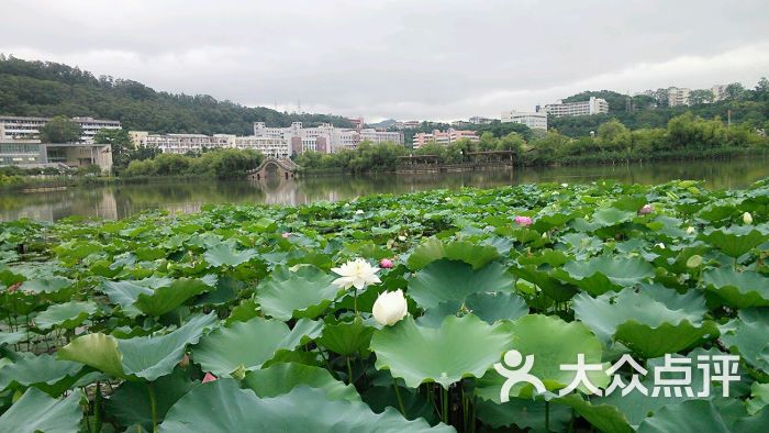 福建農林大學-東北門的點評