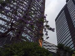 -尊宝比萨(首座店)