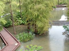 -云溪植物园