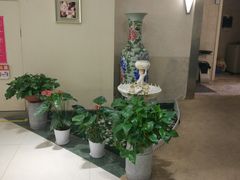 -维乐口腔医院