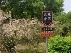 -老君堂公园