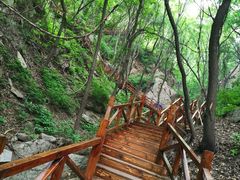 -大岭沟猕猴桃谷风景区
