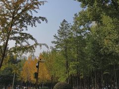-西北湖绿化广场