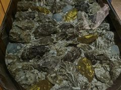 -斯普汇生蚝牛排馆(中骏世界城店)