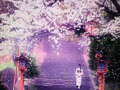 -和枫(众意路店)