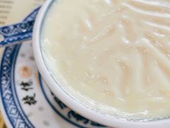 招牌双皮奶-捷信牛奶甜品世家(柳巷店)
