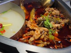 -味之绝美蛙鱼头火锅(松江万达店)