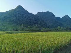 -靖西鹅泉风景区