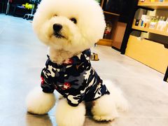 -小尾巴宠物店(万科·金域华庭店)